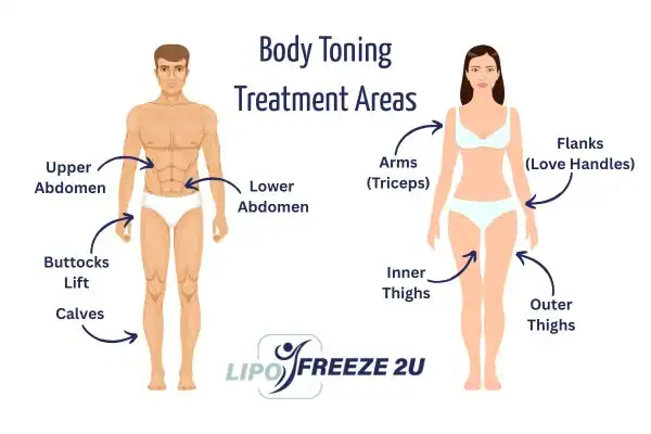 Graphic showing where you can have Body toning Treatment Chesterfield on your body